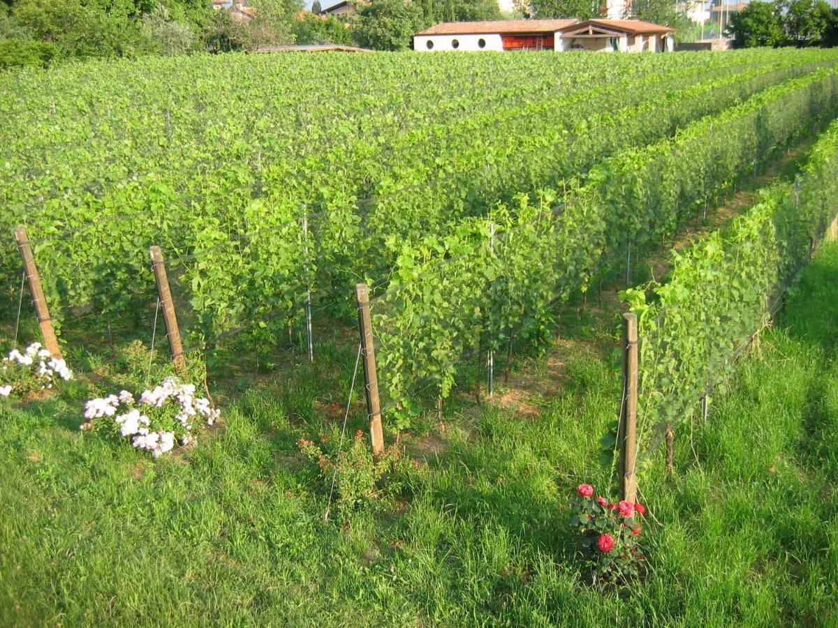 Agriturismo Le Chiusure San Felice del Benaco Exterior foto
